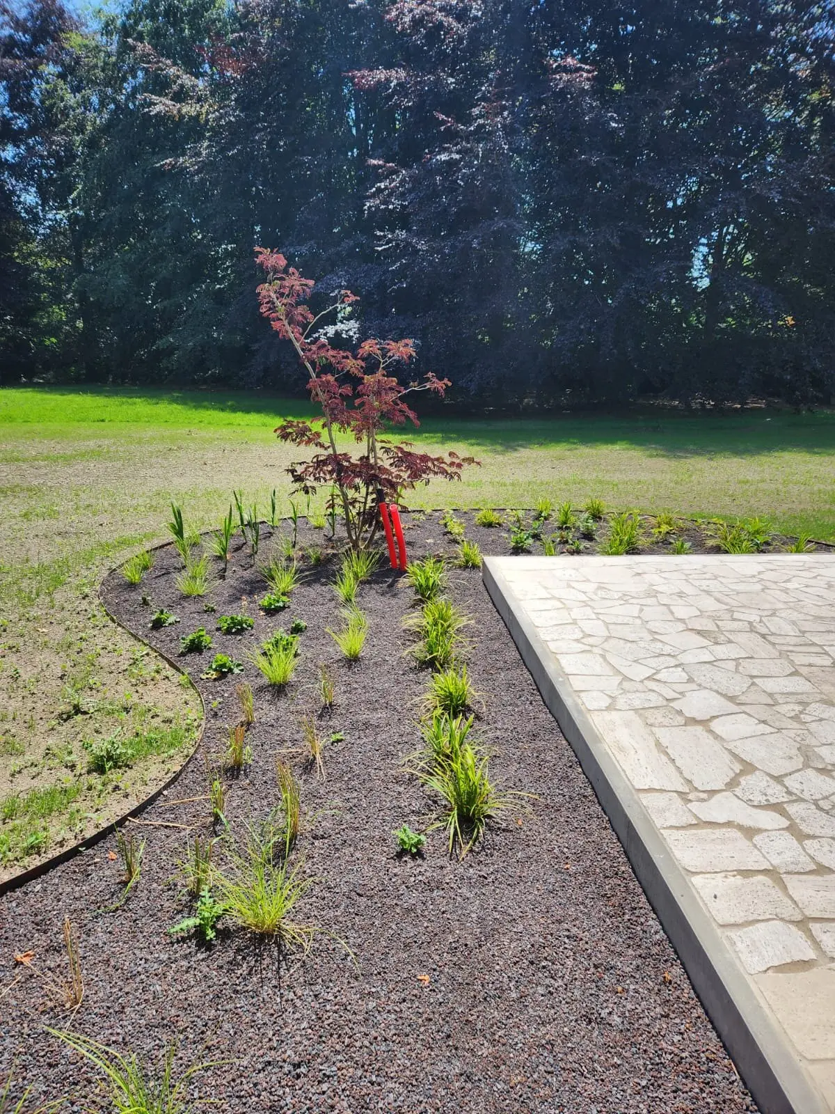 Bloemenborder met sierbomen naast het terras