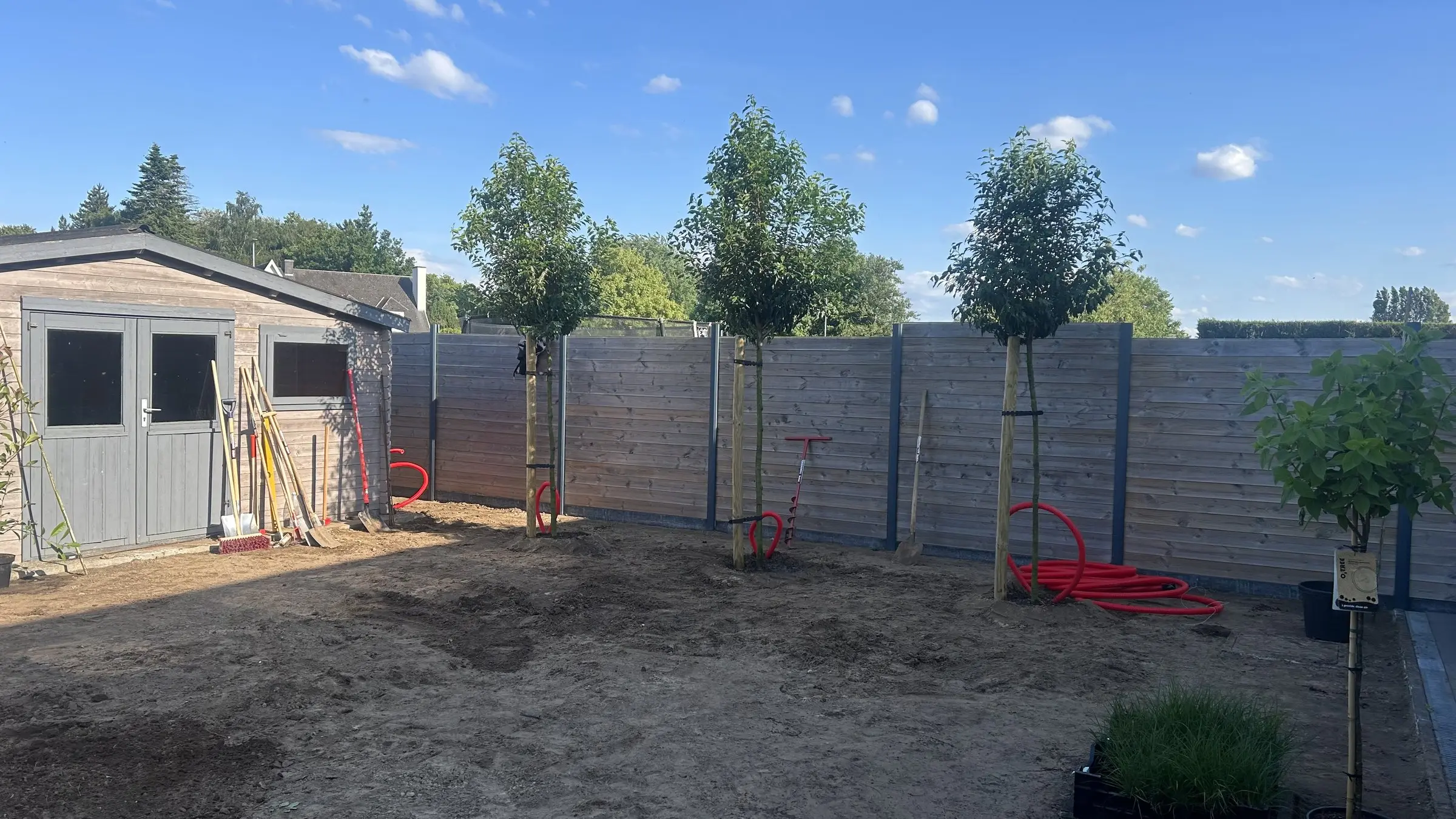 De kale achtertuin met zand en jonge bomen bij de start