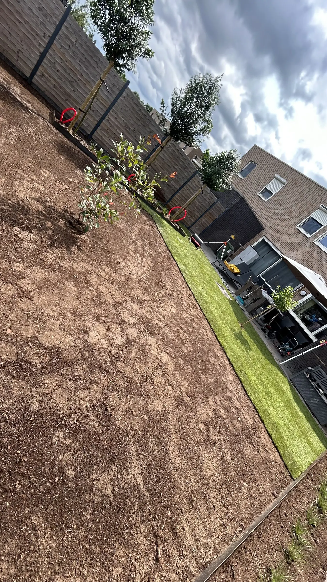 Graszoden in de maak langs de border