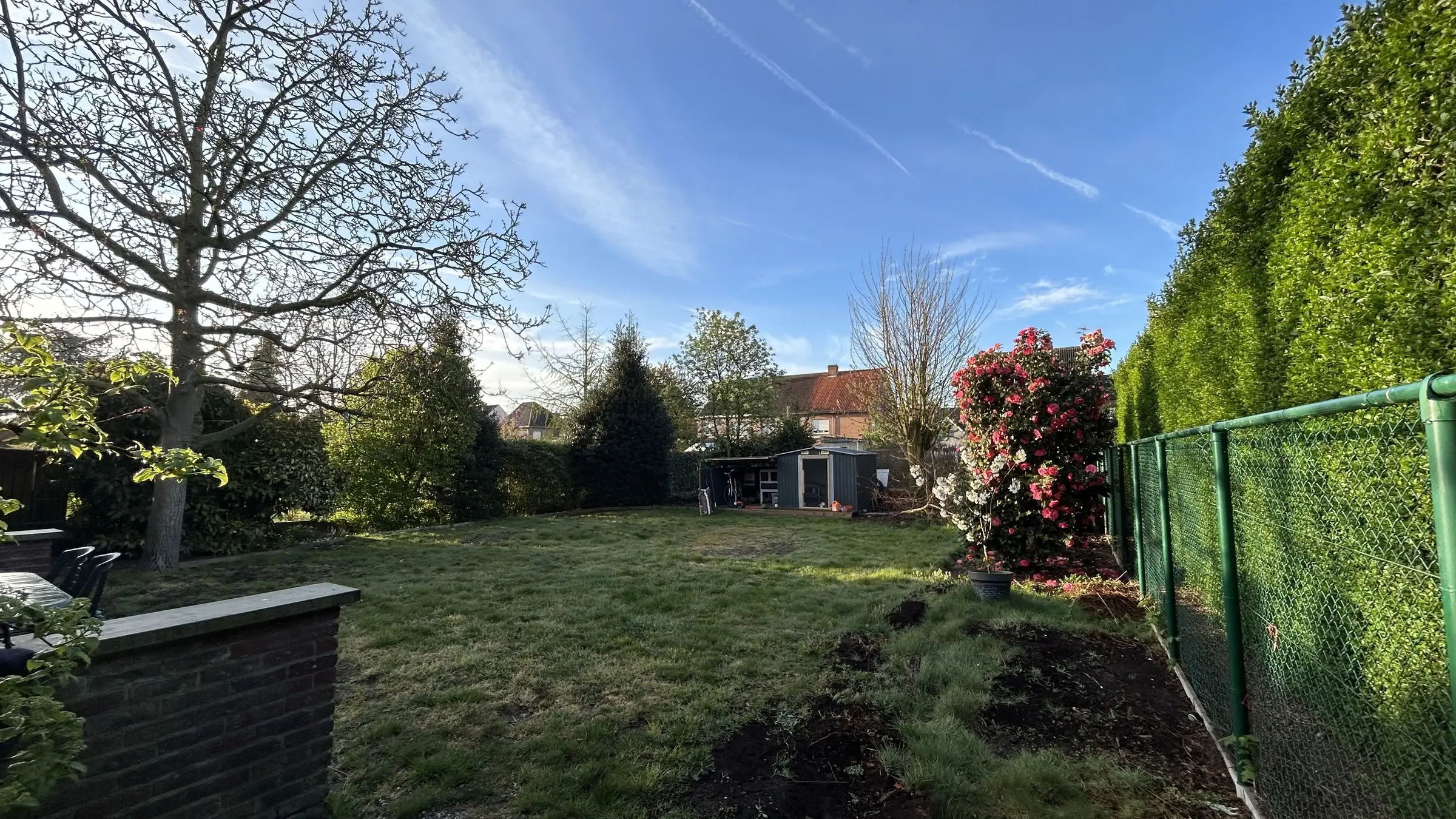 Tuin bij het begin van de werken met haag en groen hekwerk