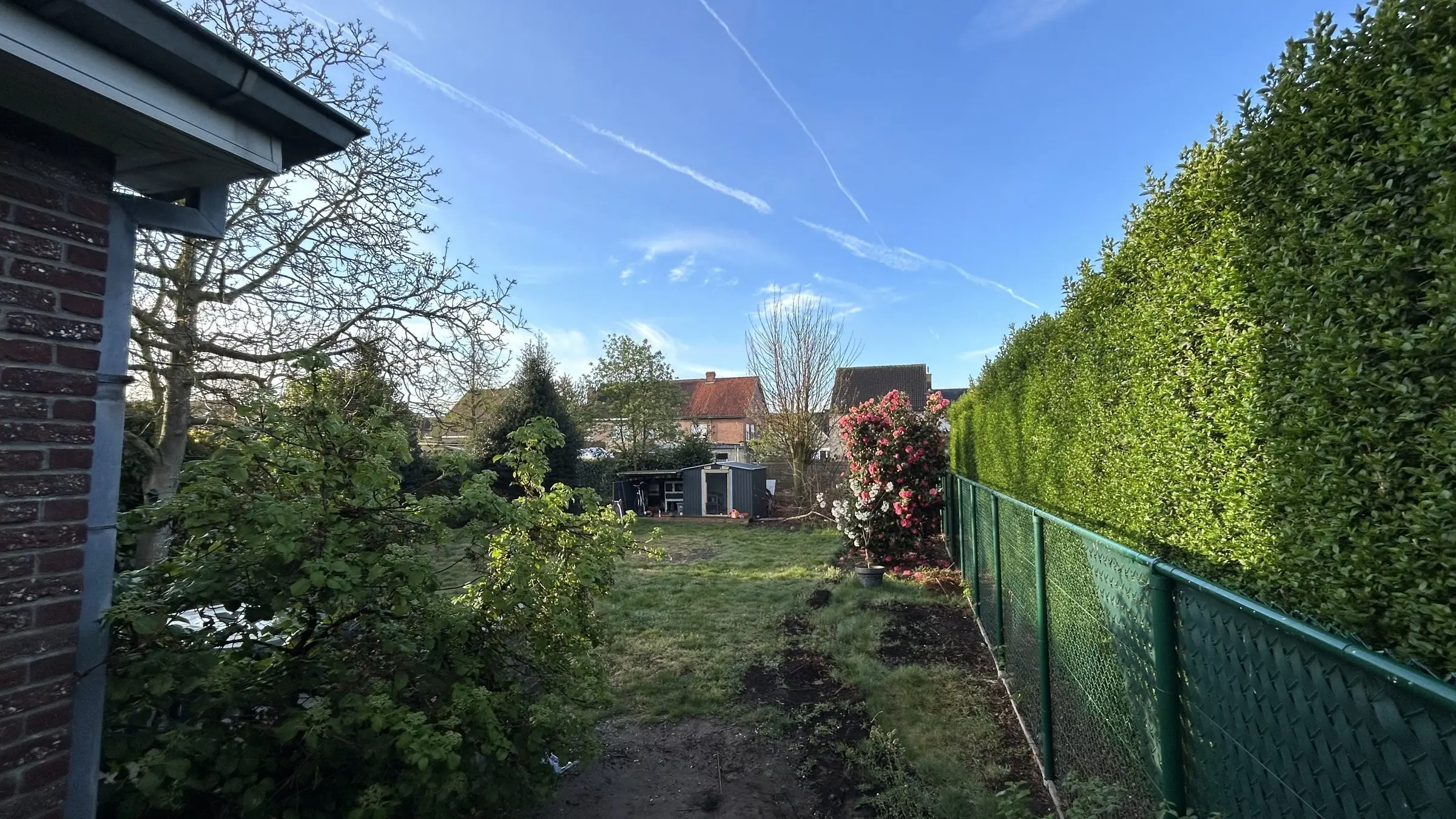 Zijde van de tuin met hoge haag en groen gaashekwerk