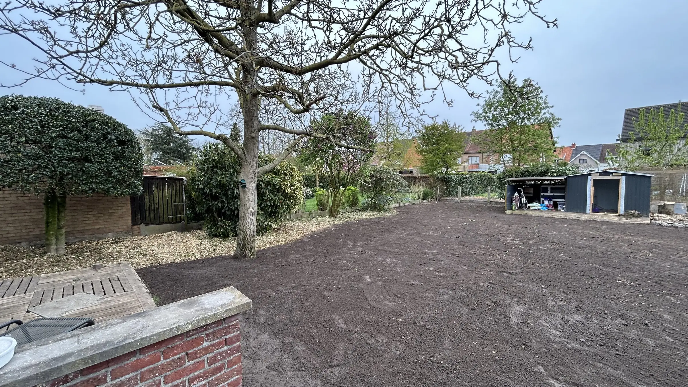 Afgewerkte grond bij de oude boom en het terras